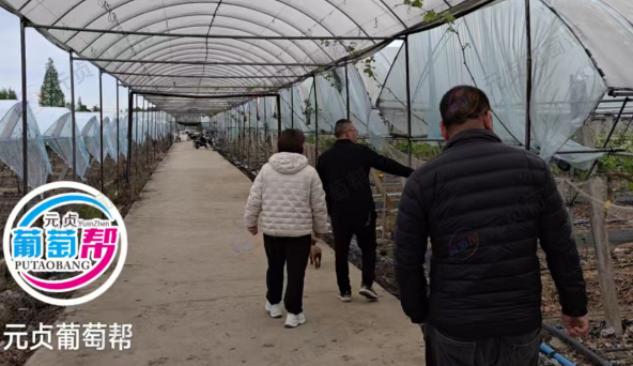 深耕田间，不负初心——“创农平见”